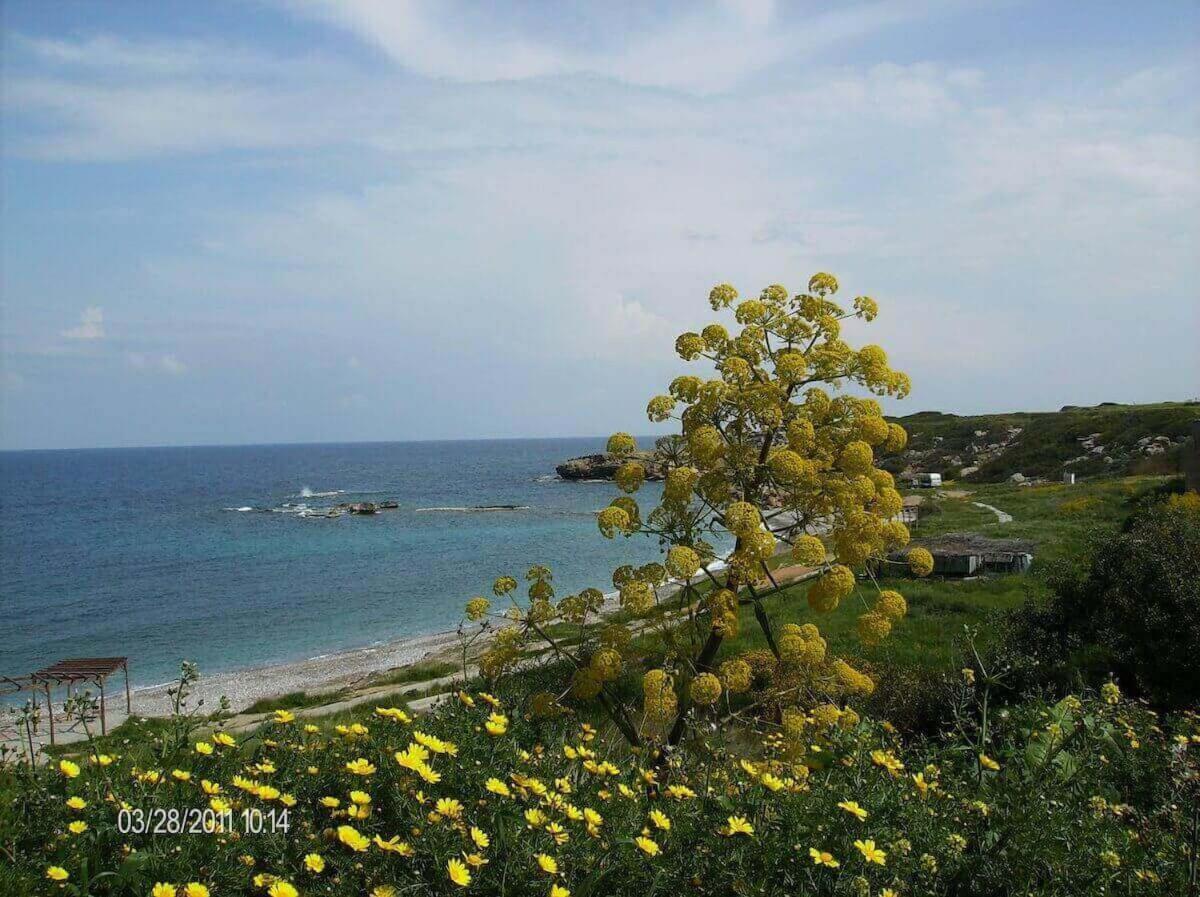 Marina Apartment B 16 - Tatlisu Trnc Akanthou Exterior photo